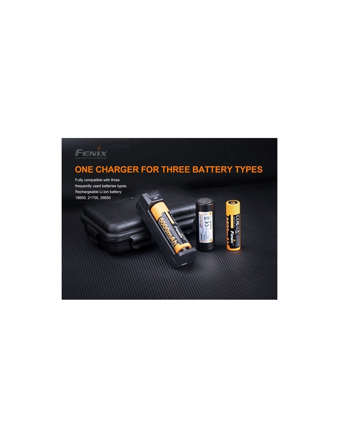 Cargador Inteligente Fenix ARE- X1 V2.0