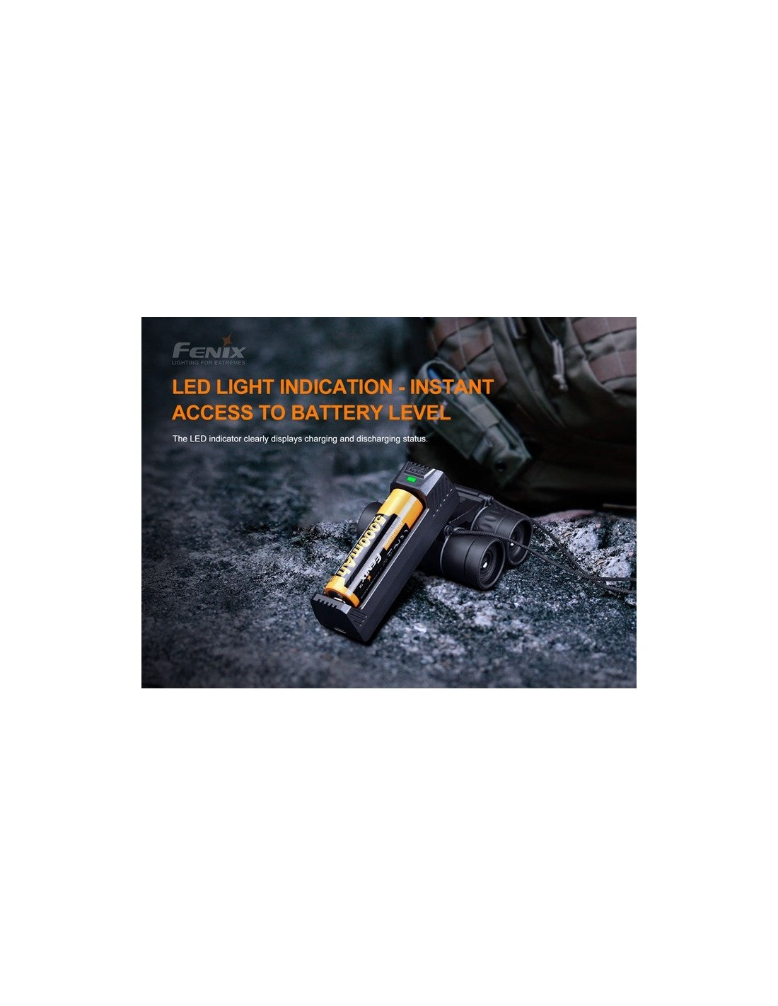 Cargador Inteligente Fenix ARE- X1 V2.0